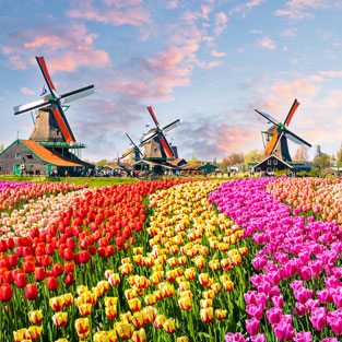 Tu viaje de fin de curso en Holanda